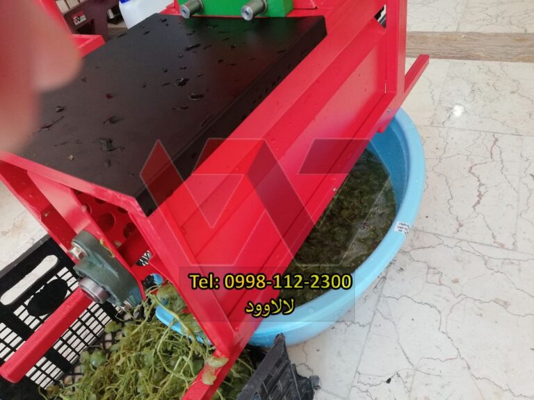 خوشه گیر انگور عکس