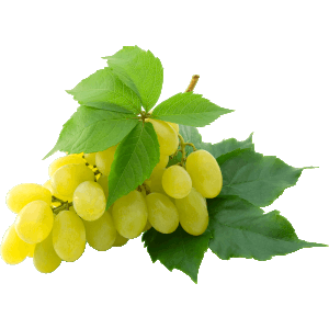 آب انگور گیری لالاوود ارزان